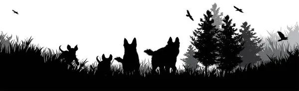 Vektor Silhuett Hundar Som Leker Gräset Parken Sällskapsdjurssymbol — Stock vektor
