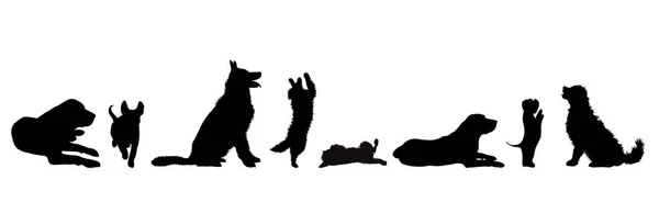 Vektor Silhouette Verschiedener Hunde Auf Weißem Hintergrund Symbol Für Hund — Stockvektor