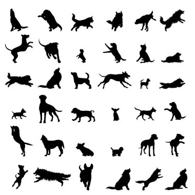 Beyaz arka planda farklı köpeklerin vektör siluetleri. Köpek ve evcil hayvanın sembolü.