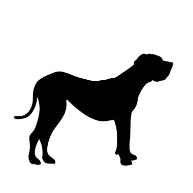 Beyaz arka planda Danua 'nın vektör silueti. Evcil hayvan ve üremenin sembolü.