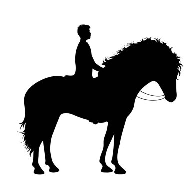 Beyaz arka planda atına binen bir adamın vektör silueti. Hayvanların ve at biniciliğinin sembolü.