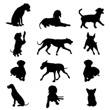 Beyaz arka planda farklı cinsten vektör silueti koleksiyonu. Evcil hayvan ve köpeğin sembolü.