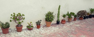 İspanya 'daki evin yakınında saksılar.