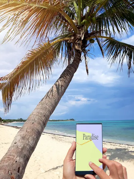 Mobile navigation to paradise with palm tree and beach.