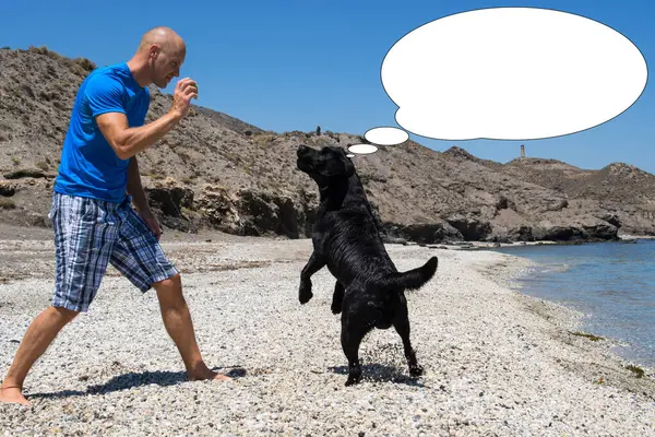Funny picture with bubble idea man play with his dog on the beach.