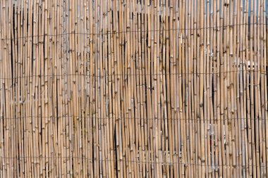 Bahçedeki sazlıklardan alınan çitlerin ayrıntıları..