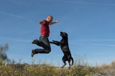 Labrador köpeği ve orta yaşlı bir adam doğada neşeyle birlikte zıplıyorlar..