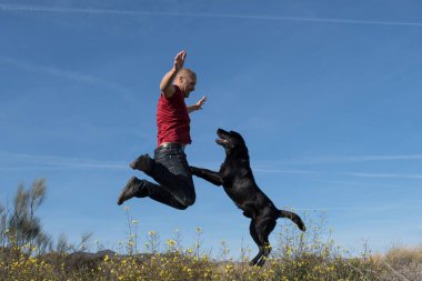 Labrador köpeği ve orta yaşlı bir adam doğada neşeyle birlikte zıplıyorlar..