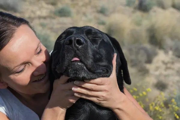 Yerde oturan kadın doğada yürürken Labrador köpeğine sarılıp öpüyor..