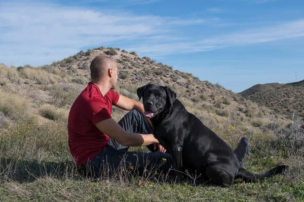 Labrador köpeği ve orta yaşlı bir adam doğa yürüyüşü yapıyorlar..