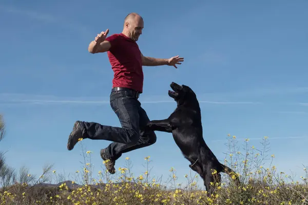 Labrador köpeği ve orta yaşlı bir adam doğada neşeyle birlikte zıplıyorlar..