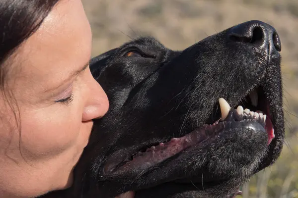 Yerde oturan kadın doğada yürürken Labrador köpeğine sarılıp öpüyor..