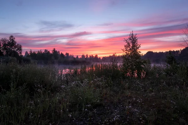 Magic Colourful Sunrise Lake Morning Fog Silhouette Trees Meadow Water — Stockfoto