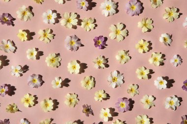 Pembe arka planda bahar çiçekleri deseni. Pastel renkli çiçekler düz yerde, gölgeli parlak ışık, soyut çiçek arkaplanı. Tebrik kartı, düğün, yıldönümü.