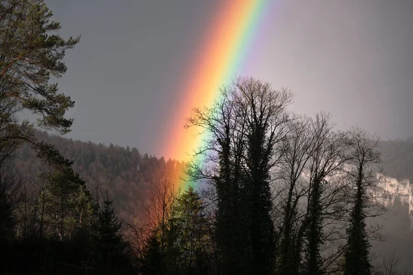Bright, intensive rainbow close-up with dark trees silhouette. Scenic rainbow with mountain landscape. Weather after storm.