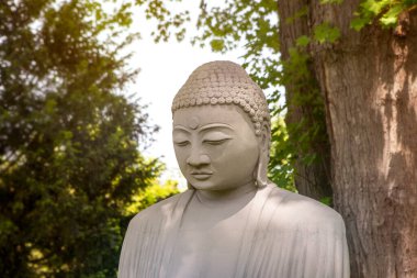 Buddha 'nın yeşil bahçedeki ağacın altındaki yüzü, açık havada meditasyon yaparken. Maneviyat kavramı.