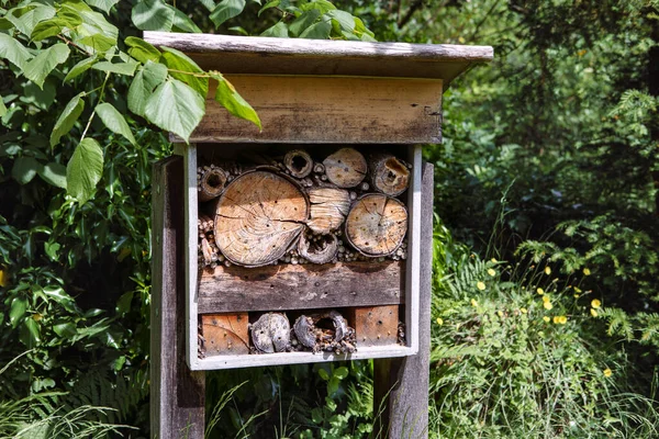 Doğadaki Tahta Böcek Oteli Güneşli Yeşil Yaz Bahçesinde Yabani Böcekler — Stok fotoğraf
