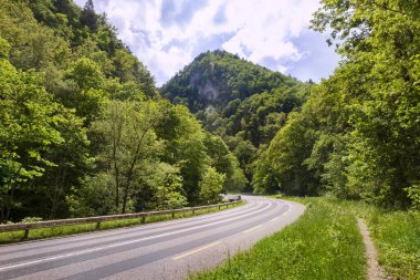 Yazın kayalık dağlarda yol yeşildir. Güzel dağ kıvrımlı yollar, yemyeşil yapraklı ağaçlar ve bulutlu gökyüzü. İsviçre 'nin Jura Dağları' nda geziyorum..