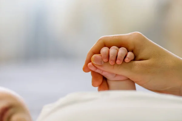 Close up mother holding tiny hand of little newborn baby boy girl, helping hands, bonding different generations. Happy motherhood concept
