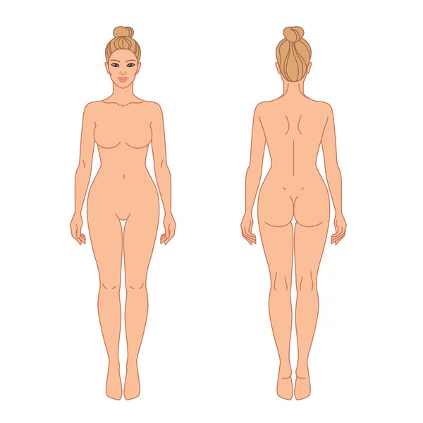 Ilustración Del Vector Vista Frontal Posterior Del Cuerpo Mujer Esquema — Vector de stock