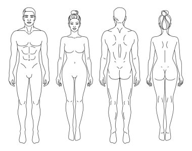 Erkek ve kadın vücut ön ve arka görüş vektör çizimi. İzole edilmiş dış hat insan vücudunun kalıbını çiziyor. Kıyafetsiz cinsiyet farkı. Sağlıklı erkek ve kadın vücut şekillerinin anatomisi. Şekil