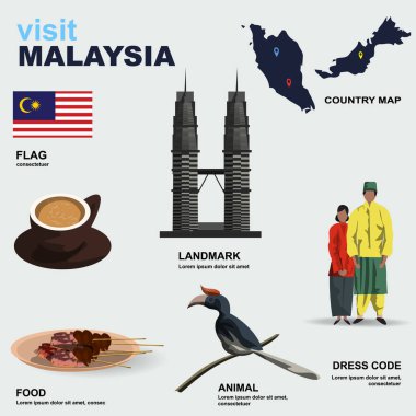 Malezya ülke ayrıntılı vektör illüstrasyonu