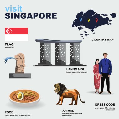 Singapur ülke detay vektör illüstrasyonu