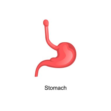 İnsan vücudu vektör sanatının anatomisi