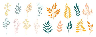 Set of leaves. Tropical plants. Herbarium. Perfect for herbal products designs.