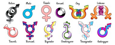 Düz gurur ayı LGBTQ sembolleri. Renkli cinsiyet simgeleri.