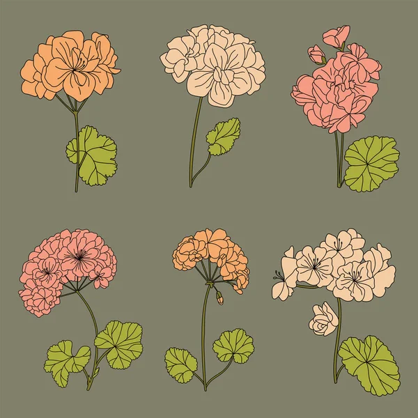 Набор Подкладных Цветков Мальвы Холлихокс Вектор — стоковый вектор