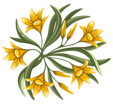 Zambaklar peyzaj tasarım planı için çalı üst görünümü. Çevre tasarımı. Vektör illüstrasyonu.