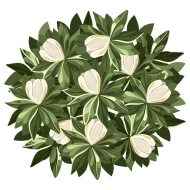 Mimari kat planları için Magnolia Ağacı. Çevre tasarımı. Çeşitli ağaçlar, çalılar ve çalılar, peyzaj tasarım planı için üst manzara. Vektör illüstrasyonu.