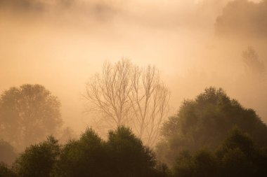 Güneşin altında puslu bir sabah