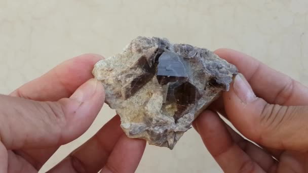 Espécime Axinite Cristais Ferroaxinite Close — Vídeo de Stock