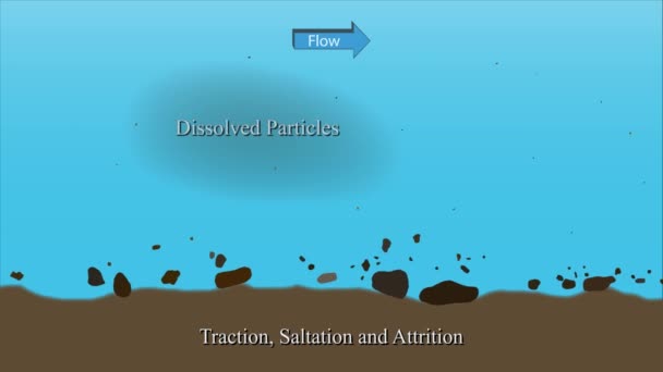 Partiklar Transportsystem River Graphic Animation — Stockvideo