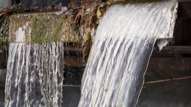 Cascata Caduta Acqua Dalle Rocce Versamento Acqua Bellissimo Flusso Acqua — Video Stock