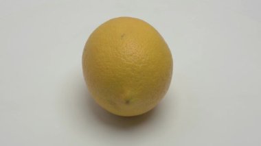 Lemon beyaz bir arkaplanda dönüyor. Video.