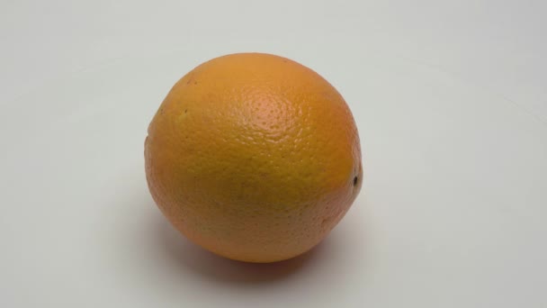 Pomarańczowy Obraca Się Białym Tle Filmik — Wideo stockowe
