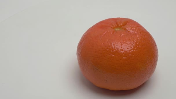 白色背景上的橘子的水平全景 — 图库视频影像