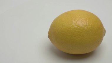 Beyaz arka planda sarı bir limonun yatay manzarası. Video.