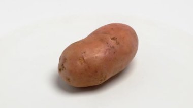 Kusursuz ve kusursuz organik bir patates. Lezzetli ve doyurucu yemeklere dönüşmeyi bekliyor.