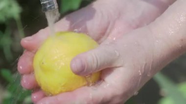 Suyun altında taze bir limonu tutan bir el, canlı sarı rengini ve tazeliğini sergiliyor..