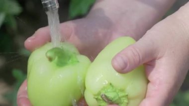 Açık havada akan suyun altında taze ve canlı yeşil biberleri dikkatlice yıkayan ellerin detaylı bir yakın çekimi.