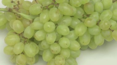 Taze yeşil üzümlerden oluşan enfes bir demet sağlıklı atıştırmalıklar ve çeşitli mutfak malzemeleri için mükemmeldir.