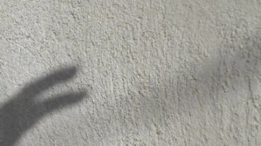 Güzel bir gölge silueti dokulu bir duvarda eşsiz bir sanatsal ifade ve vizyonu çağrıştırıyor.