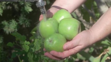 Bir insan bahçedeki gevrek yeşil elmaları duruluyor, temiz ürünleri vurguluyor ve sağlıklı yaşamı teşvik ediyor.