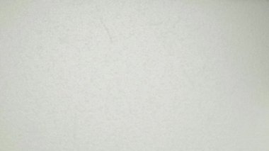 İki canlı ve taze brokoli çiçeği hafif bir arka planda izole edilir, sağlıklı yiyecek kavramları için mükemmeldir.