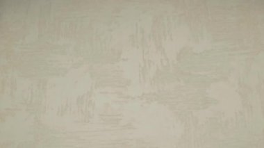 Güzel düzenlenmiş havuçlar zarif bir şekilde eşsiz doğal şekillerini, renklerini ve hoş dokularını gösteriyor.