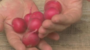 Yeni toplanmış turpların yakın plan çekimi, canlı renkler ve taze çiftlik kalitesi sergileniyor..